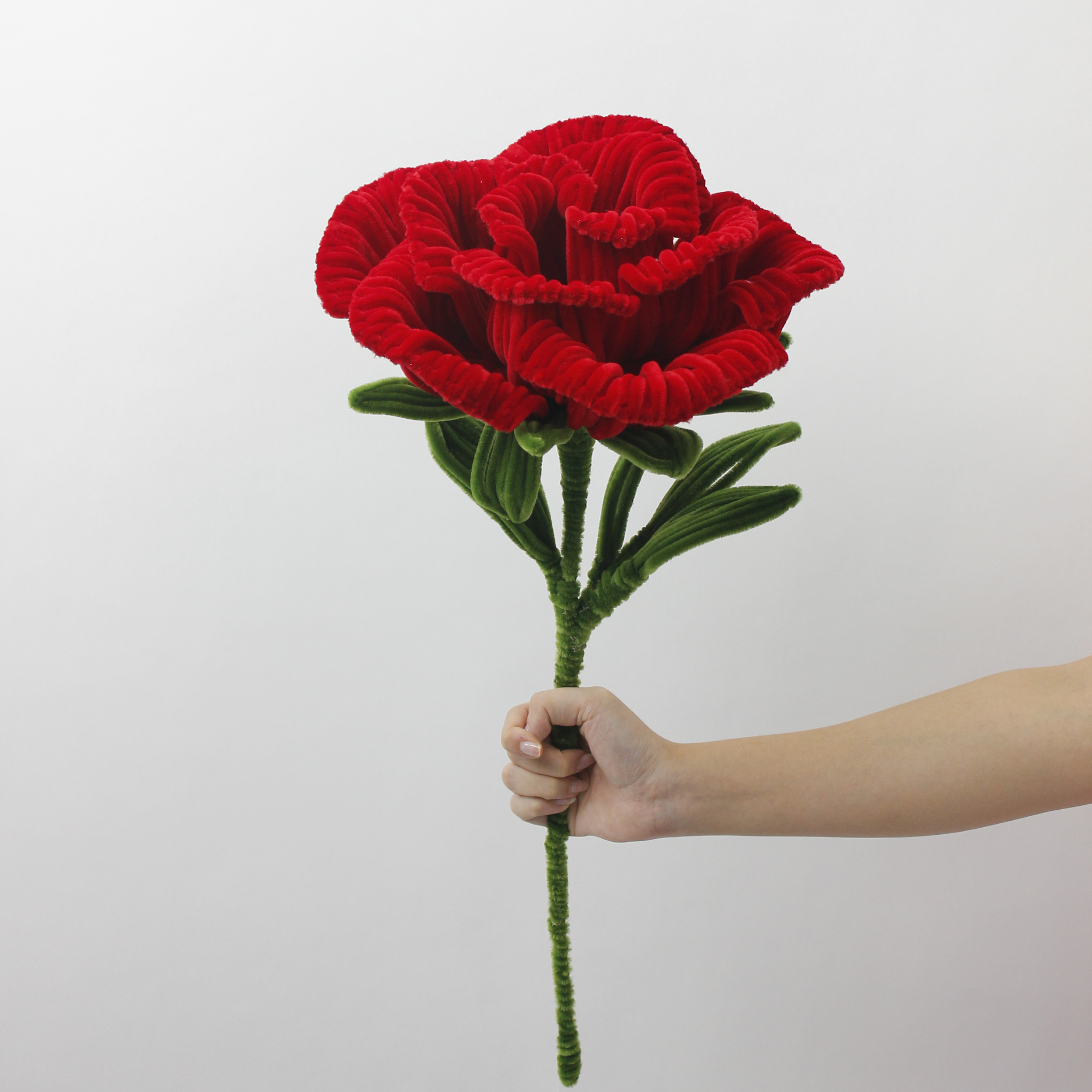 DIY Kit: Giant Rose