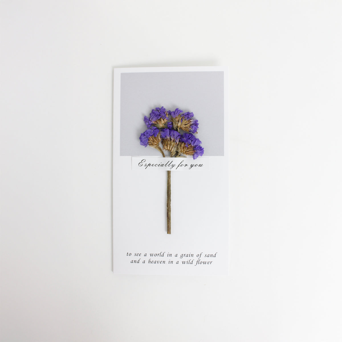 Card_0012__MG_3711.jpg