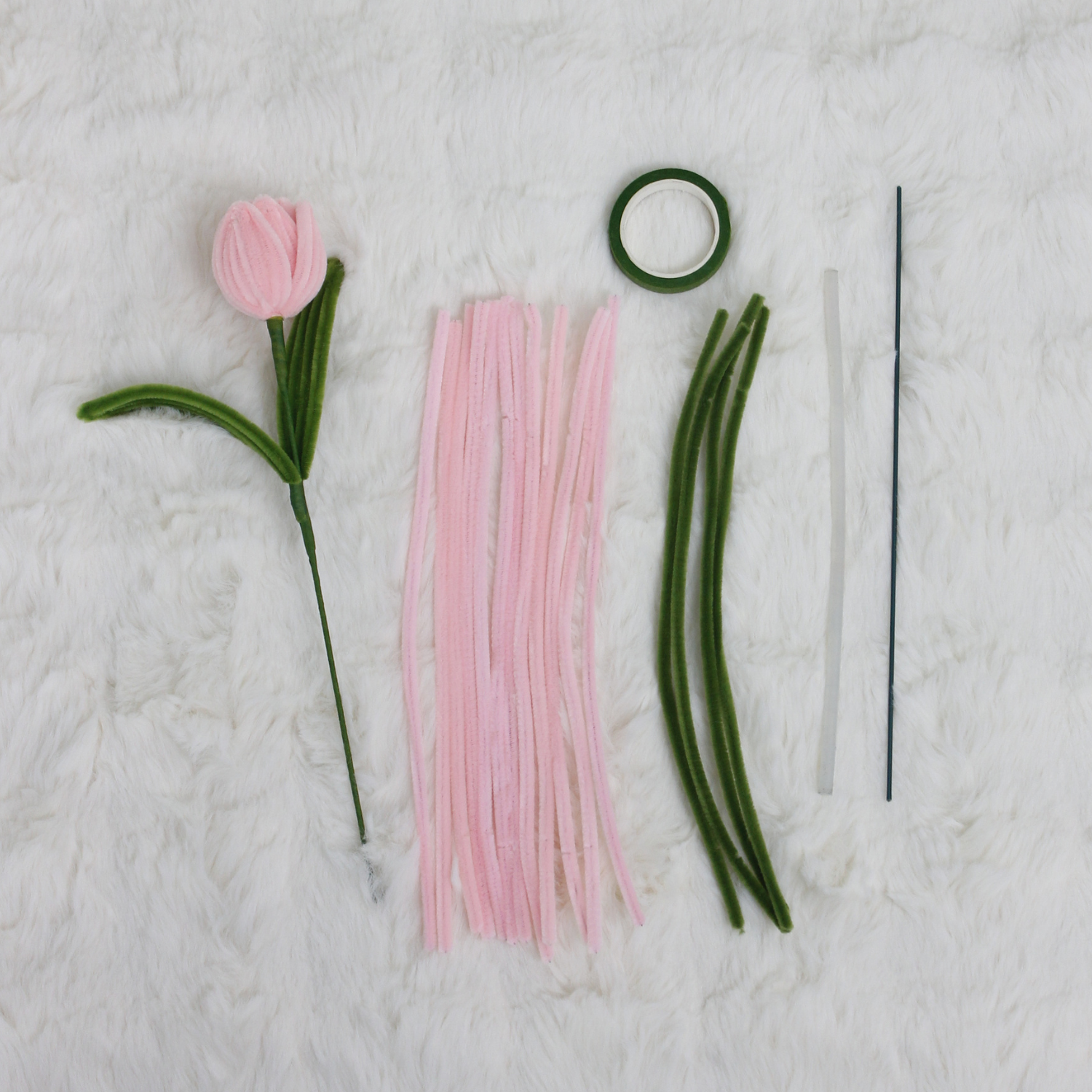 Tulip Tutorial