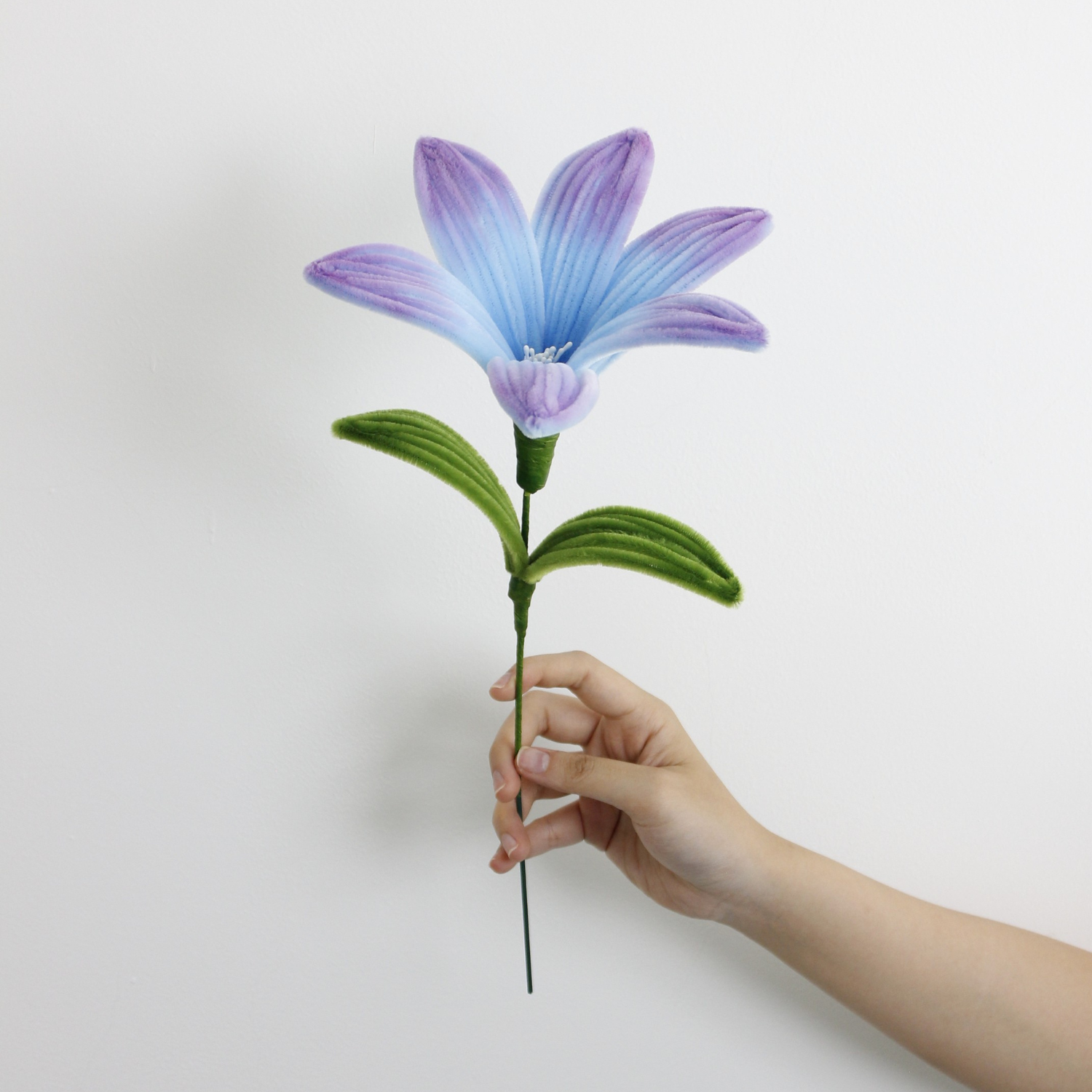 Lily Tutorial