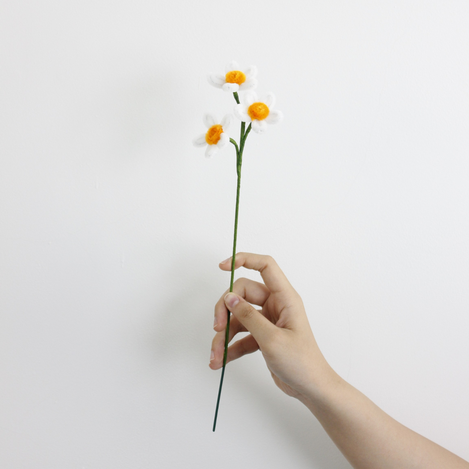 Daisy Tutorial