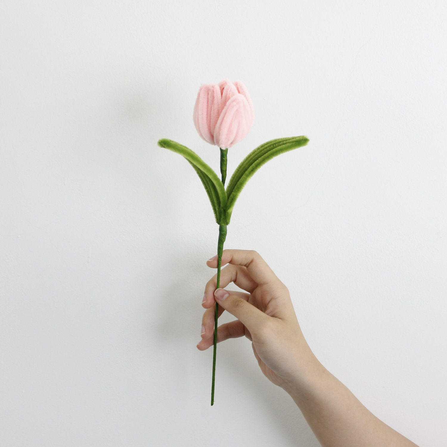 Tulip Tutorial